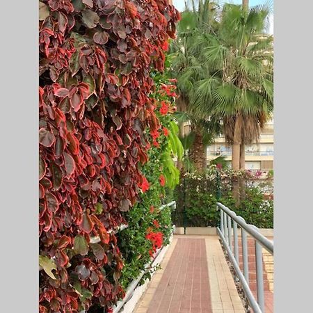Jardines Del Sur, Ocean View Appartement Buzanada Buitenkant foto