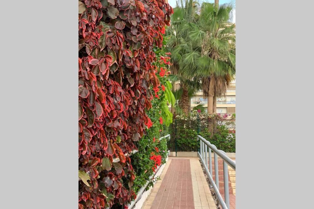 Jardines Del Sur, Ocean View Appartement Buzanada Buitenkant foto